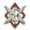 Pirate logo.png